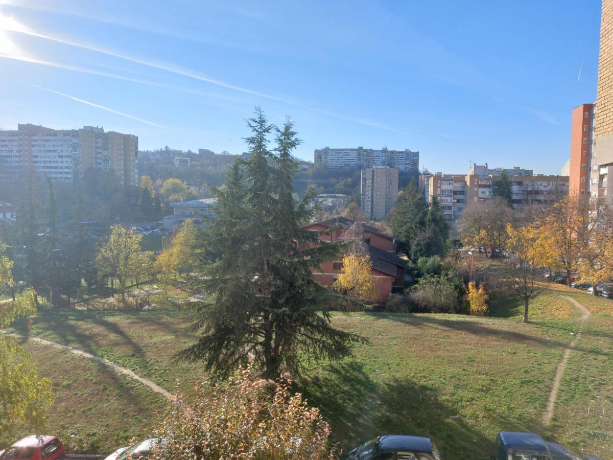 בלגרד Apartman 22 מראה חיצוני תמונה